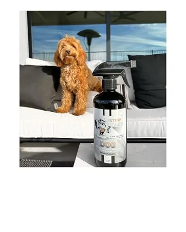 Laundry Booster (Bamboo Teak) - Dog Products Pet Odor Eliminator for Strong Odor Dog Spray Deodorizer Dog Pee Spray Urine Remover
