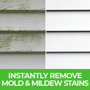 RMR Brands Complete Mold Killer & Stain Remover Bundle - Mold and Mildew Prevention Kit, Disinfectant Spray, Mold and Mildew Stain Remover, Includes 2 - 32 Ounce Bottles - Eliminate stains