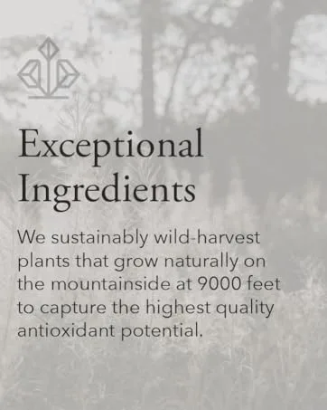 Caldera + Lab The Beard Balancing & Nourishing Beard Oil with Antioxidant Botanicals - Exceptional ingredients