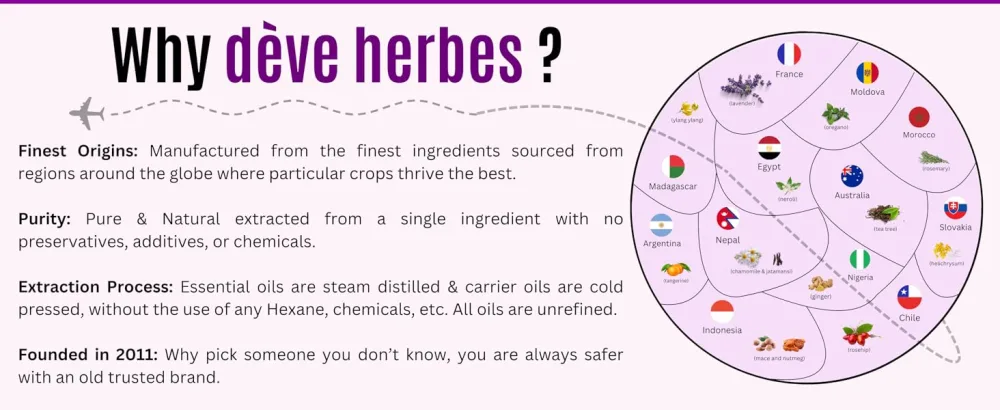 Deve Herbes Pure Argan (Moroccan) Oil (Argania spinosa) with Glass Dropper Cold Pressed 100ml (3.38 oz) - globe