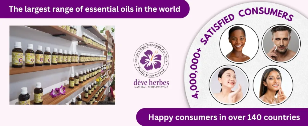 d ve herbes Pure Bhringraj Oil (Eclipta alba) 100ml (3.38 oz) - product information 16