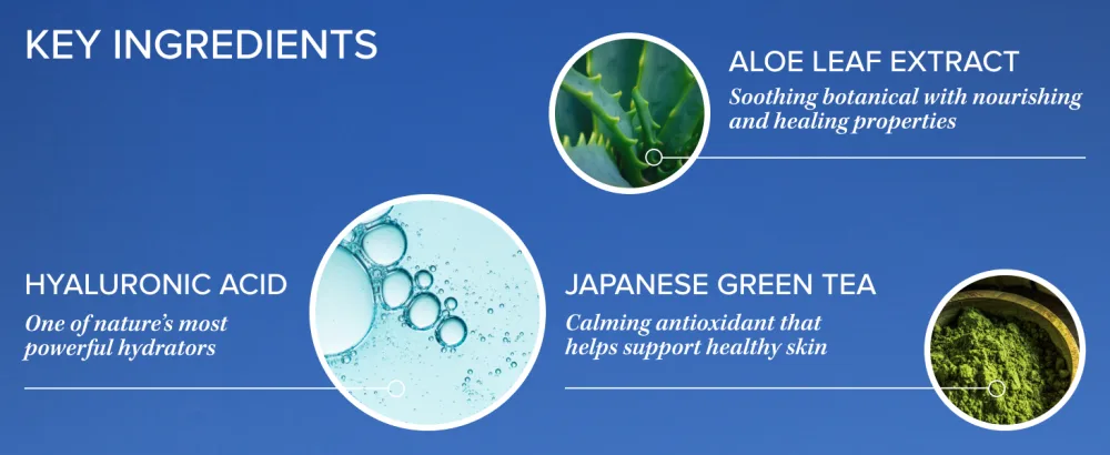 iS CLINICAL Hydra-Intensive Cooling Masque Hydrating Face Mask Aloe Vera Face Mask with Hyaluronic Acid - key ingredients aloe leaf extract japanese green tea calming antioxidant hyaluronic acid