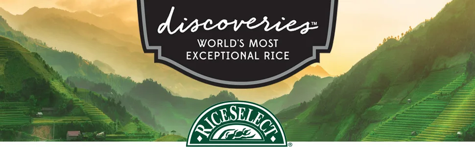 RiceSelect Discoveries Sweet Sticky Dessert Rice, Gluten-Free, Non-GMO, Vegan, 14.5-Ounce Jar, White - Rice Select Discoveries