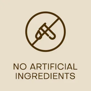 Revol Snax - Keto Friendly Cookie Chocolate Bites, Guilt-Free Keto Snacks Variety Pack, Plant-Based, Low Carb, No Sugar, 4 Pack - almond cracker,aussie cakes,biscuit cookie,bread spread,breakfast snack,cookies tarts,no carb jam