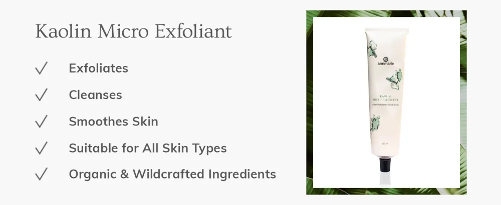 Annmarie Skin Care Kaolin Micro Exfoliant - Kaolin Micro Exfoliant