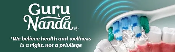 GuruNanda Steel Sonic Toothbrush - Rechargeable 5 Modes 2 Min Smart Timer & Replacement Brush Heads - Teal - GuruNanda