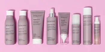 Restore Smooth Blowout Concentrate - Restore collection, dry scalp treatment, living proof, hair care