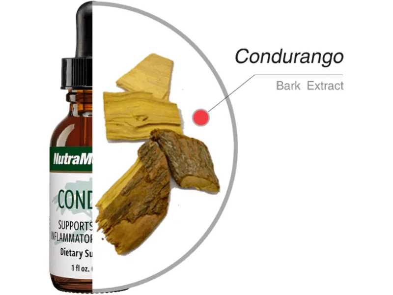 NutraMedix Condura Extract - Joint Support Supplement with Condurango Bark Extract - Liquid Joint Health Supplements for Women & Men (1oz / 30ml) - nutramedix