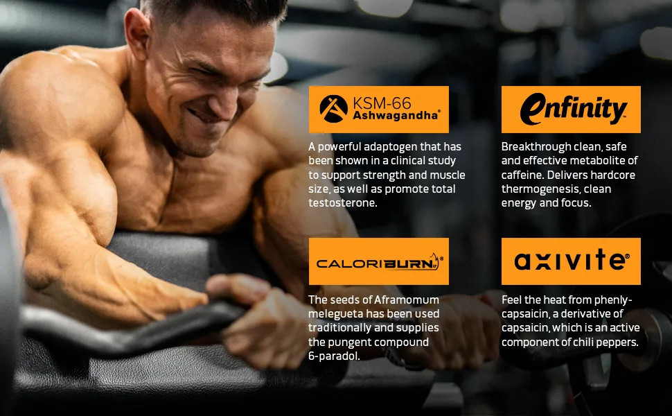 MuscleTech AlphaTest Thermo XTR Thermogenic Testosterone Booster| Muscle & Strength Builder for Men | Workout Supplement | 90 capsules | 30 Servings - Key Ingredients