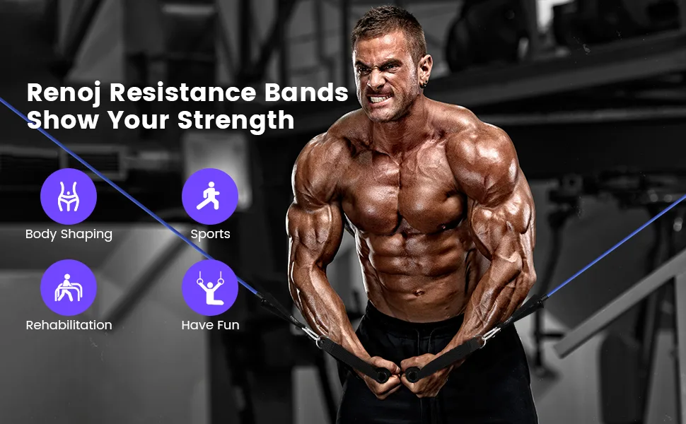 Resistance Bands for Working Out, Exercise Workout Bands with Handle, Upgraded Resistance Bands Series 150lbs black blue red green yellow - product information 1