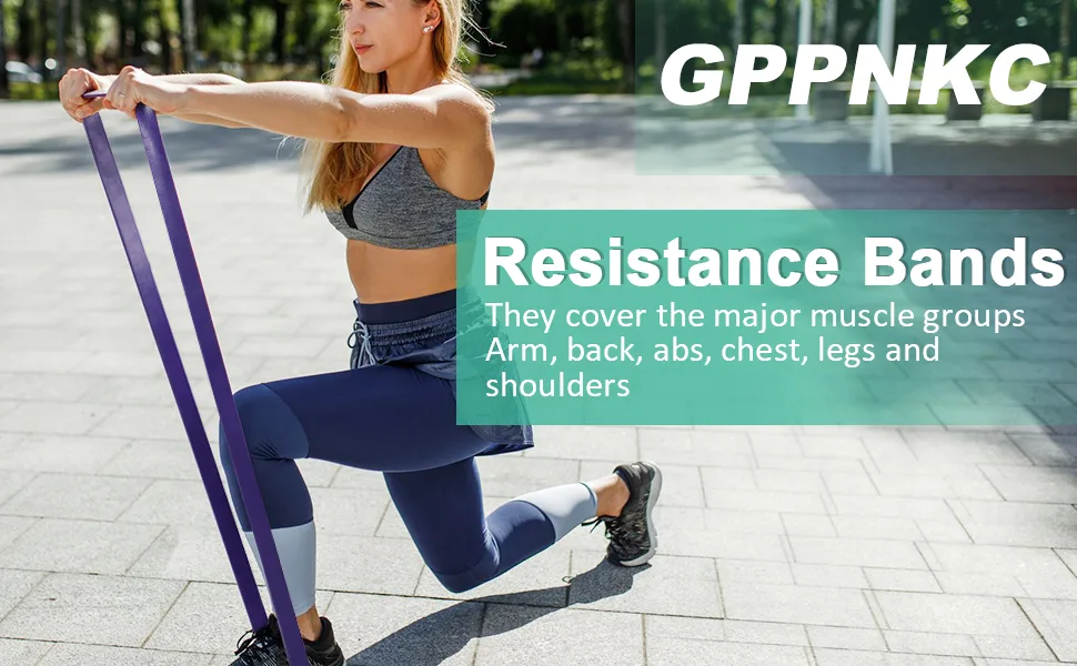 Resistance Band, Pull Up Bands, Pull Up Assistance Bands, Workout Bands, Exercise Bands, Resistance Bands Set with Door Anchor, Working Out, Physical Therapy, Shape Body, Men and Women 0.5-1.7in - resistance band