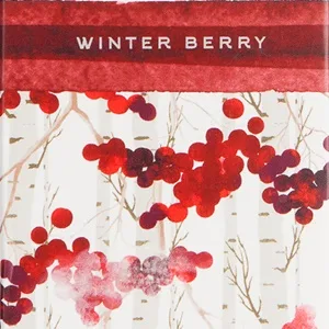 Primavera Spring Collection Petite Reed Diffuser Falling Snow 40 ML Reed Diffuser Falling Snow - Via Mercato Natale (Winter) Collection - Winter Berry scent.