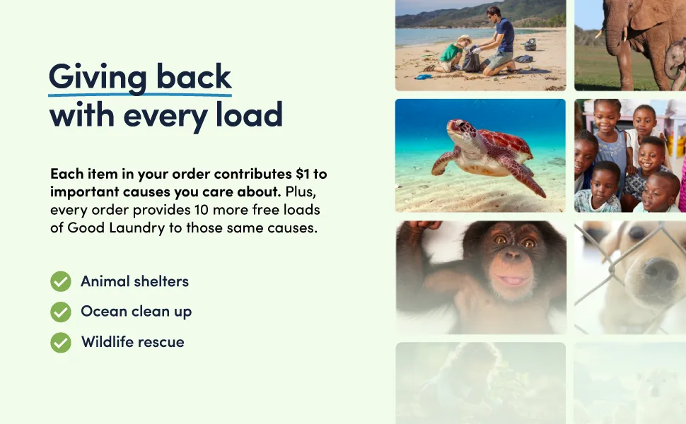 Rainforest Breeze Scented Dryer Sheets Reduce Static Infused with Essential Oils No Harsh Chemicals Biodegradable Hypoallergenic No Plastic - Based in the USA DRYER SHEETS RAINFOREST BREEZE - Give Back
