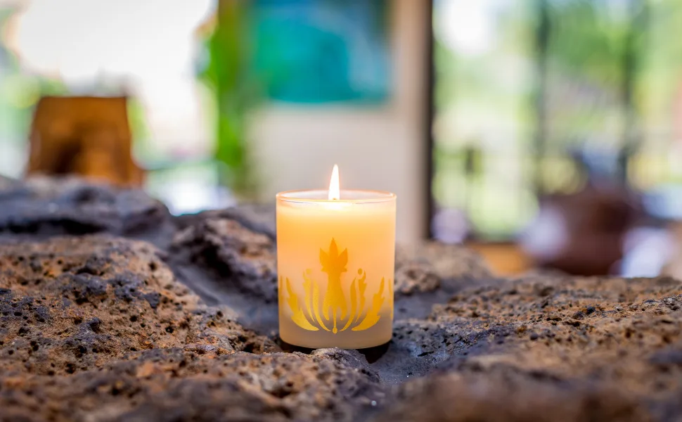 Malie Organics Soy Candle Pikake - Malie Soy Candle
