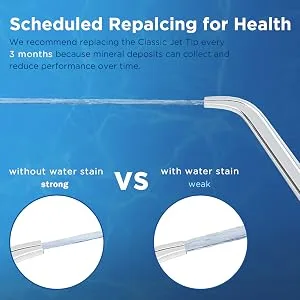 Replacement Tips for Water Flosser, Storage Case & 6 Tips Bundle 6 Classic Jet Tips - waterpik replacement tips