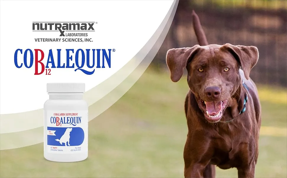 Nutramax Cobalequin B12 Supplement for Medium to Large Dogs 45 Chewable Tablets Hydrolyzed Chicken 2.08 ounces Dogs Only - Nutramax Cobalequin