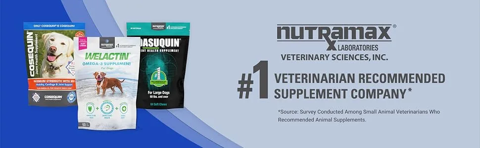 Nutramax Cobalequin B12 Supplement for Medium to Large Dogs 45 Chewable Tablets Hydrolyzed Chicken 2.08 ounces Dogs Only - Nutramax Cobalequin
