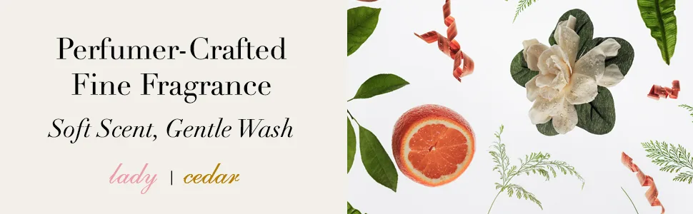 The Laundress Wool & Cashmere Shampoo Double Concentrated Cedar Scent Wool Detergent Wool Wash Cashmere Shampoo 16 Fl Oz - Perfumer-crafted