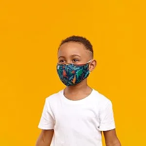 ADJUSTABLE FILTER POCKET MASK W/ZIPPER POUCH BUTTREFLY Butterfly - Dino Mask Boy