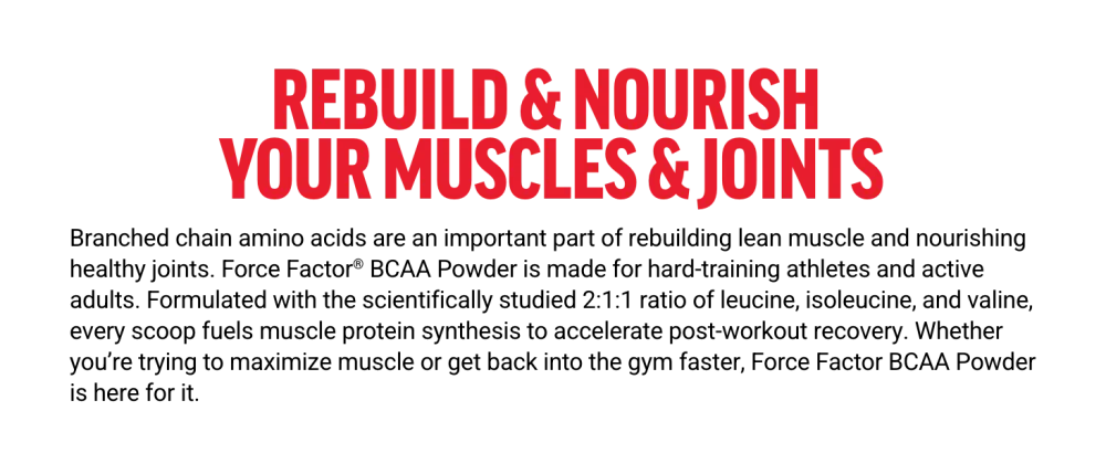 Force Factor BCAA Amino Acids Supplement 2:1:1 Delicious and Refreshing BCAA Powder to Support Muscle Recovery and Performance No Artificial Colors or Flavors Cherry Limeade 30 Servings - bcaa amino acids bcaa powder bcaas amino acids amino acids supplement bcaas amino acid powder