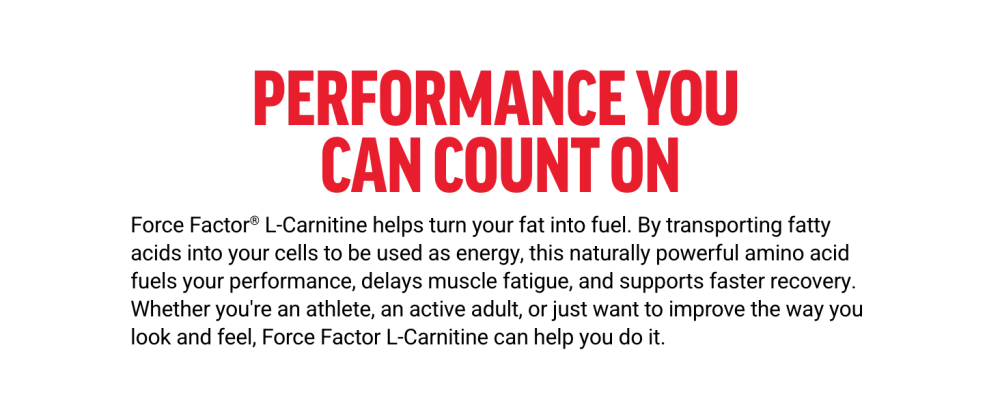FORCE FACTOR L-Carnitine Supplement L Carnitine Tartrate 1000mg Capsules to Convert Fat Into Energy Support Muscle Recovery and Boost Exercise Performance Vegan Non-GMO 90 Tablets - l carnitine l carnitine supplement l-carnitine carnitine supplement l carnitine powder carnitine