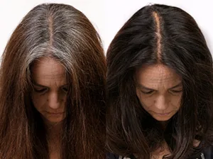 Permanent 4VV Medium Intense Violet Hair Color Dye - Naturally-derived Vegan & 100% Gray Coverage that Lasts up to 8 Weeks - 100% Gray Coverage