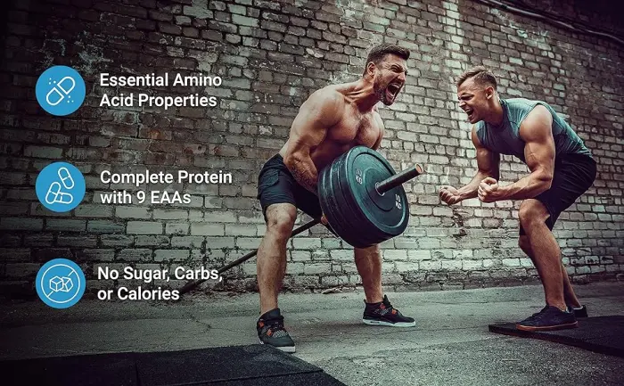 Essential Amino Acids (EAA) 2000mg Per Serving 300 Capsules Unflavored - 9 in 1 All BCAAs (Branched-Chain Aminos) Lean Muscle Support & Natural Pre Workout Supplement - product information 6