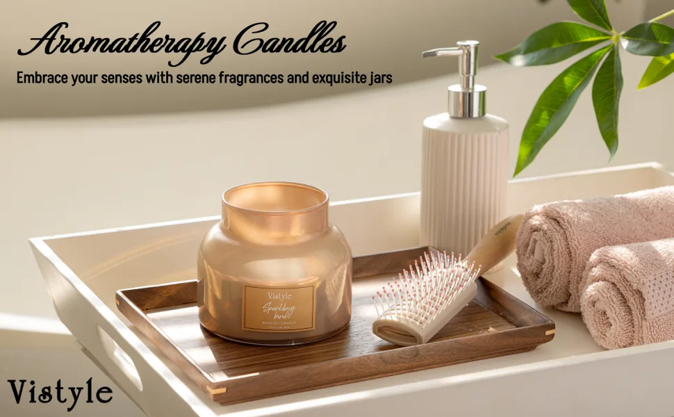 Scented Candle 16 Oz Large Jar Candle up to 65+ hours burn time Sparkling Birch scented Non-Toxic Candles for Home Decor & Aromatherapy - candle
