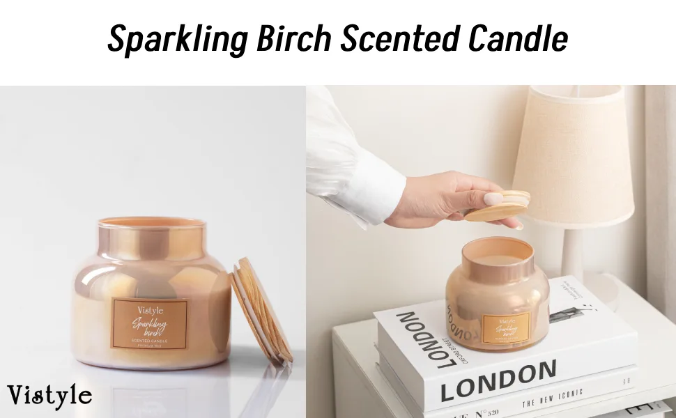 Scented Candle 16 Oz Large Jar Candle up to 65+ hours burn time Sparkling Birch scented Non-Toxic Candles for Home Decor & Aromatherapy - candle
