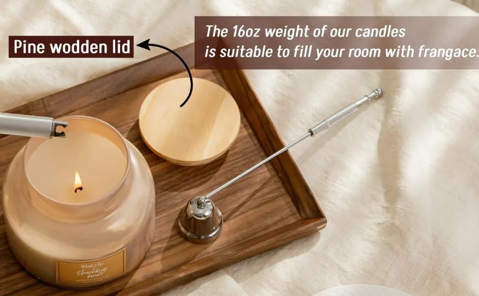 Scented Candle 16 Oz Large Jar Candle up to 65+ hours burn time Sparkling Birch scented Non-Toxic Candles for Home Decor & Aromatherapy - vistyle