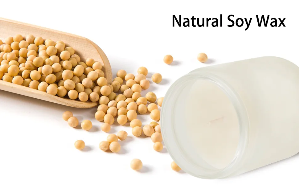 Cedar Oakmoss Scented Candles for Home Aromatherapy Candle 7OZ Natural Soy Wax Jar Candle White Jar - candles