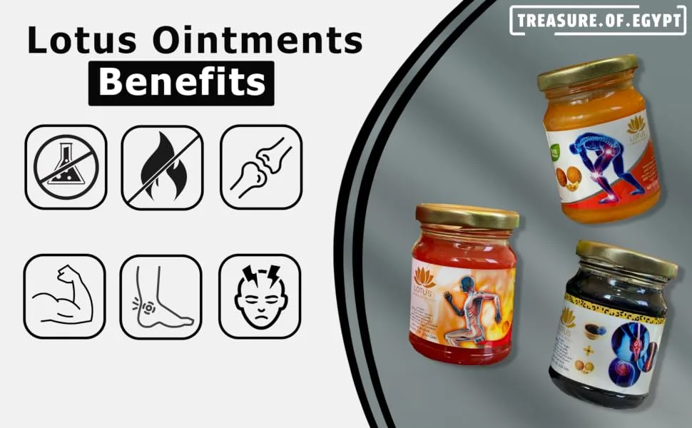 Lotus Massage Herbal Apple Cider Vinegar Ointment (150 gm 5.2 oz) - product information 4
