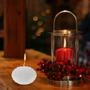 1pc Shell Candle Shell Scented Candle Shell Candle The Seashell Soy Wax Candle Hand Poured Scented Candle Shell Shape Candle Atmosphere Candle - product information 3
