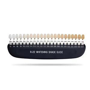 Professional 3D R-22 Dental Tooth Teeth Whitening Shade Guide for Dentist Tracking Teeth Whitening Course Tooth Shade Guide with 22 Colors - shade guide teeth whitening