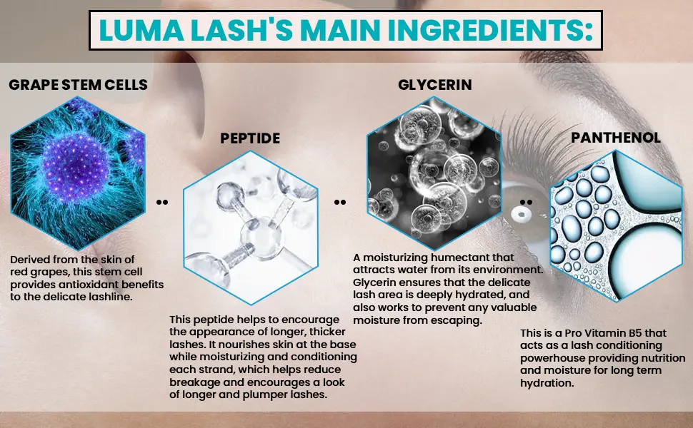 Eyelash Growth Enhancer & Eyebrow Serum - Moisturizes Lengthens & Volumizes Sparse Thinning Eyelashes & Brows - Formula with Stem Cell Complex Glycerin Peptide Panthenol - product information 8