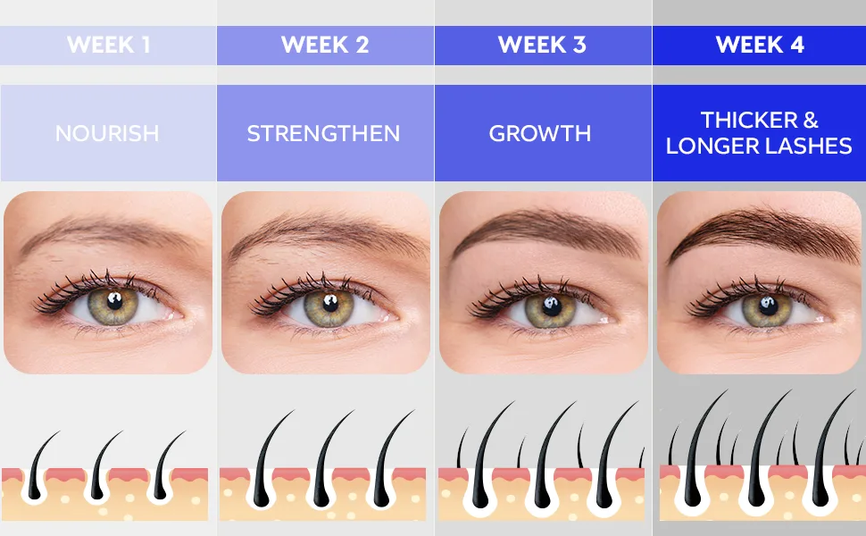 Eyebrow Growth Serum for Fuller Thicker Brows : Advanced Formula for Rapid Regrowth Nourishing Serum for Sparse Eyebrows Safe for All Skin Types - Eyebrow Growth Serum, Brow Serum, Eyebrow Gel, Eyebrow Growth Serum For Thicker Brows