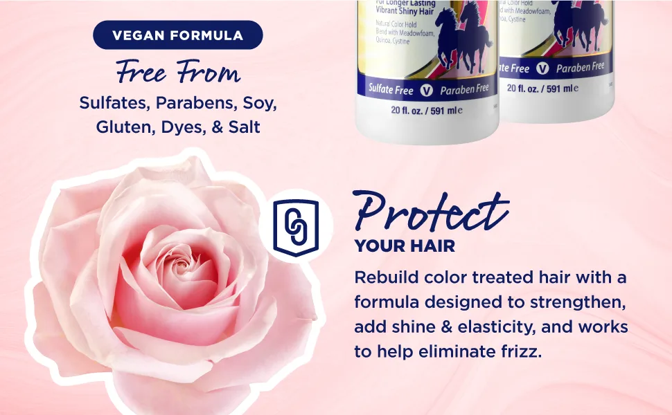 Mane 'n Tail Color Protect Conditioner 20oz Sulfate & Paraben Free - Image of Color Protect Shampoo & Conditioner Bottles
