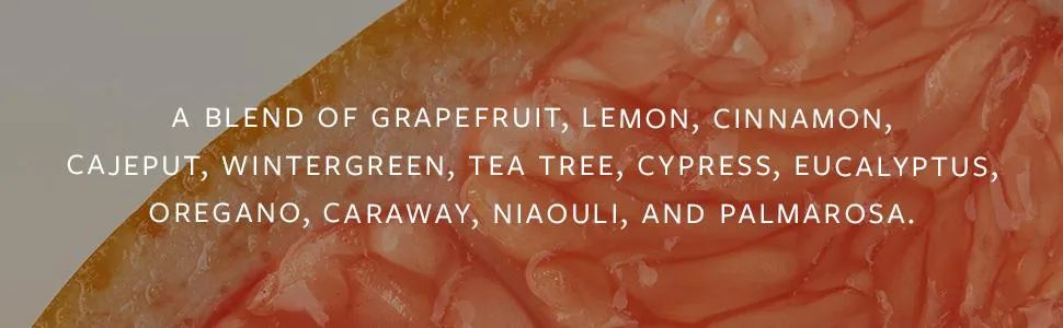Vitruvi Sweetwater Citrusy Essential Oil Blend with Grapefruit Palmarosa and Cinnamon Oil (0.5 Fl oz) - grapefruit, lemon, cinnamon, cajeput, wintergreen, tea tree, cypress,