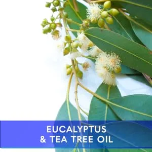 DERMALINE Arnica 3 in 1 Gel Eucalyptus Tea Tree Oil Vitamin E - Fast Acting and Absorbing Pain Relief - eucalyptus tea tree oil
