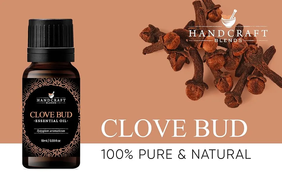 Handcraft Blends Clove Bud Essential Oil - 100% Pure and Natural - Premium Grade Essential Oil for Diffuser and Aromatherapy - 0.33 Fl Oz - product information 1
