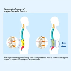 Summer Unisex Lumbar Spine Support Belt Protector Pain Relief Waist Brace Waistband (M) - product information 6