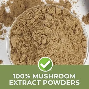 Real Mushrooms Cordyceps Peak Performance Supplement for Energy, Stamina & Endurance | Non-GMO, Vegan, Organic Cordyceps Powder| 60 Servings - pure mushroom extract in every serving, no fillers or grains for maximum absorption