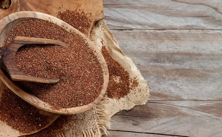 Rawseed Organic Brown Whole Grain African Teff 2 Lbs 1 Pack Gluten Free - shovel