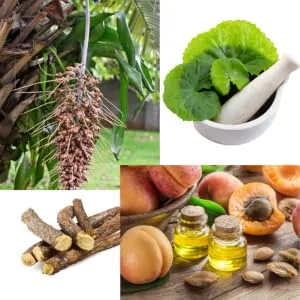 Staycation - Botanical Bronzing Shimmer Serum Drops for Face & Body by Suntegrity - Staycation Botanicals include Babassu, Gotu Kola, Licorice Root and Apricot Oil