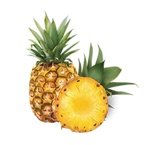 Biotique Pineapple Fruit Enzyme Cleanser (Combo/Oily Skin) 120 ml - Pineapple
