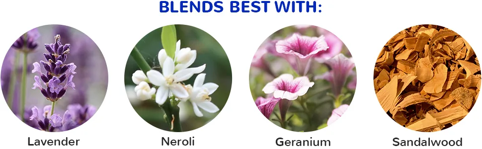 Wyndmere Essential Oils - Frankincense Essential Oil in Jojoba - 100% Pure Therapeutic Quality - for Diffuser - 10ml - Made in USA - essential oil blend
