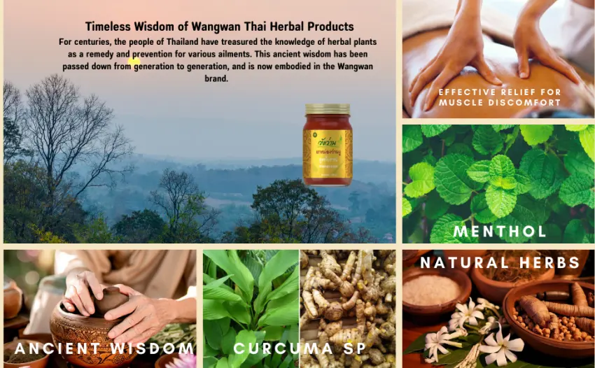 Thai Balm - Natural Balm for Relaxation for Back Neck Knee Shoulder Foot Massage Thai Herbal Ointment (Large 100G (3.5 OZ) Tendon Formula) - Wan Ngu4