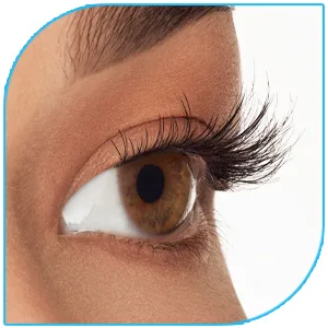 Duo Striplash Adhesive Clear Lash Glue for Fake Lashes Lash Clusters and Individual Lashes 0.25 oz - product information 4