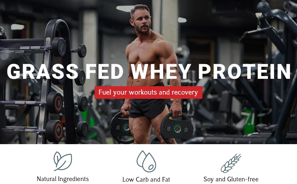 Grass Fed Whey Protein BCAAs Rich Lean Body Protein Shake for Meal Replacement & Post Workout Recovery 19g of Protein No Artificial Sweeteners Vanilla 12 Oz - grass fed whey protein, whey protein, dca nutrition
