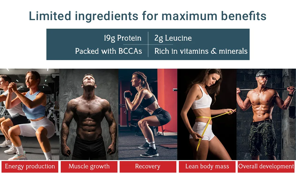 Grass Fed Whey Protein BCAAs Rich Lean Body Protein Shake for Meal Replacement & Post Workout Recovery 19g of Protein No Artificial Sweeteners Vanilla 12 Oz - grass fed whey protein, whey protein, dca nutrition